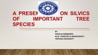 A PRESENTATION ON SILVICS
OF IMPORTANT TREE
SPECIES
BY
HARJLAI DEBBARMA
M.SC. FORESTRY & BIODIVERSITY
TRIPURA UNIVERSITY
 