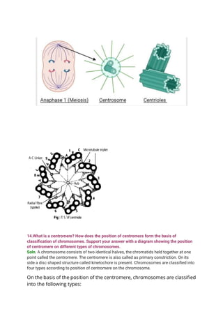 Important questions of Cell- The unit of life.pdf
