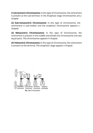Important questions of Cell- The unit of life.pdf