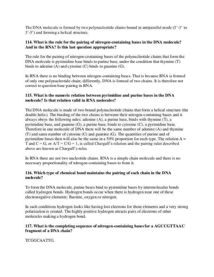 Dna structure essay