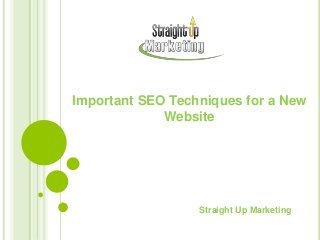Important SEO Techniques for a New
Website
Straight Up Marketing
 
