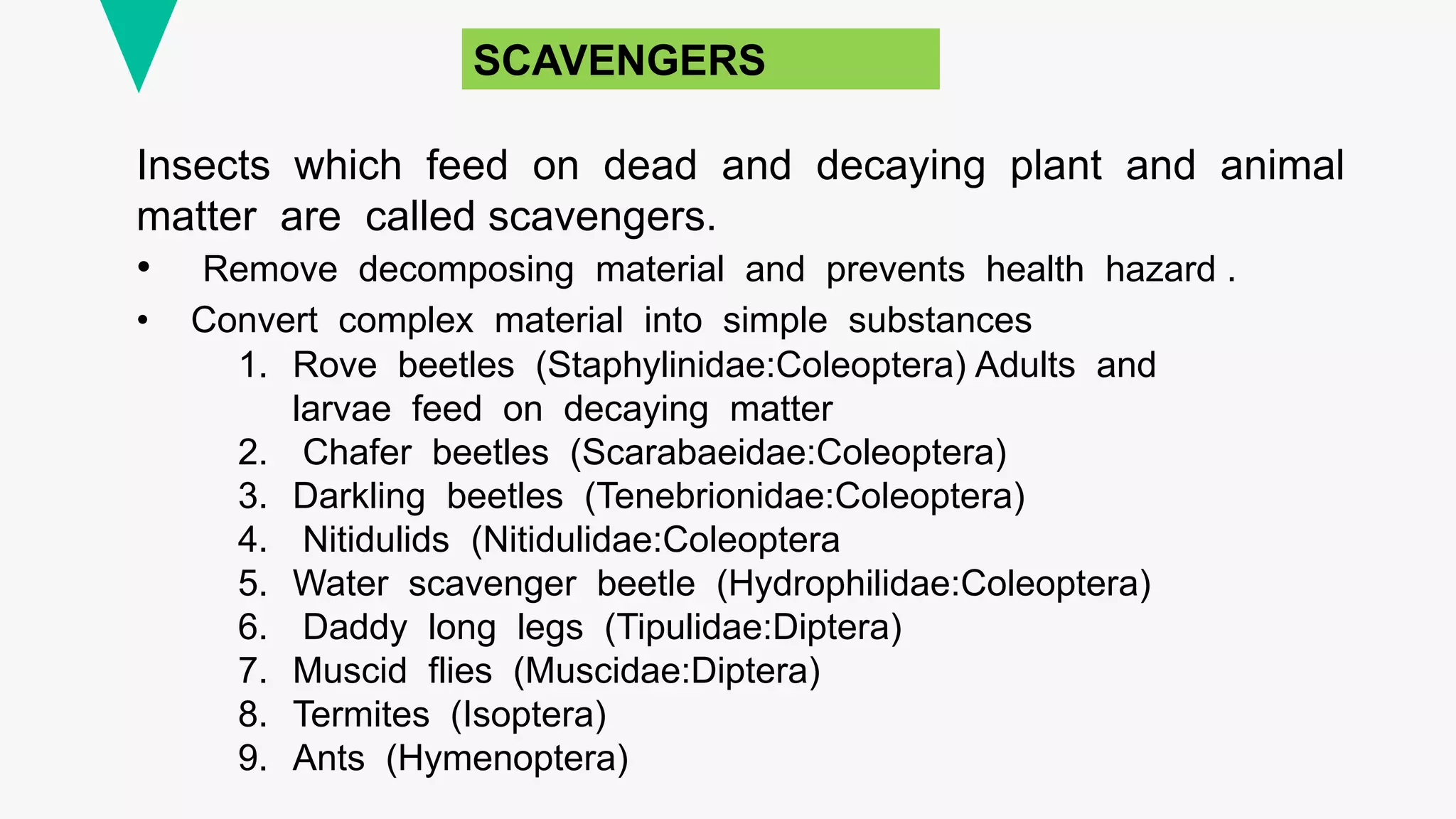 important species of pollinatiors, weed killer and scavengers. ppt.pptx