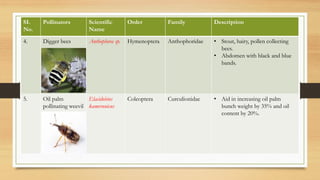 Pollinators Names Important species of pollinators | PDF