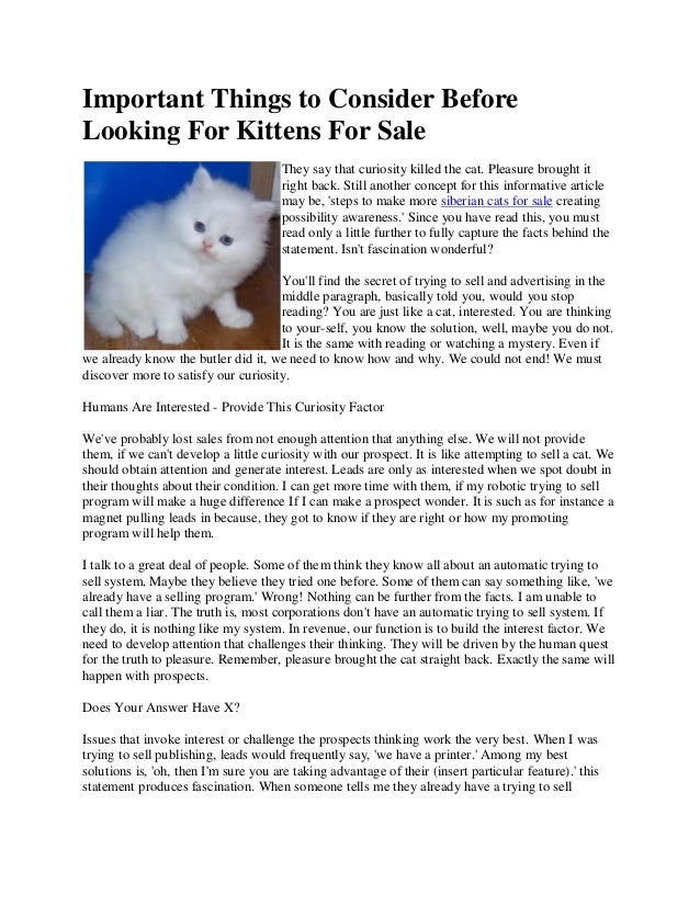 kittens for sell