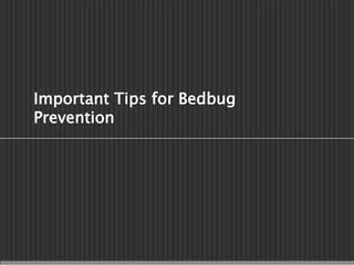 Important Tips for Bedbug
Prevention
 