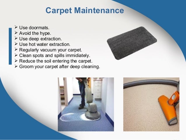 Image result for Why Carpet Cleaning is Important?