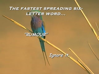 The fastest spreading six-The fastest spreading six-
letter word...letter word...
"RUMOUR""RUMOUR"
Ignore it.Ignore it.
 