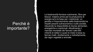 Perché è
importante?
La biodiversità fornisce nutrimento, fibre per
tessuti, materie prime per la produzione di
energia ed è la base per i medicinali. La
perdita e l’impoverimento della biodiversità ha
impatti pesanti sull’economia e sulle società,
riducendo la disponibilità di risorse alimentari,
energetiche e medicinali. Attualmente il
mercato mondiale dei farmaci vale 650
miliardi di dollari e quasi la metà si basa su
farmaci tratti, direttamente o indirettamente,
dai regni vegetale e animale.
 