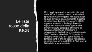 Le liste
rosse della
IUCN
Uno degli strumenti principali sviluppati
dalla IUCN è la lista rossa, un elenco di
specie animali e vegetali minacciate per
le quali si valuta costantemente il rischio
di estinzione. Le liste rosse sono stilate
regolarmente sia a livello globale sia
regionale, individuando le specie che
devono essere bersaglio prioritario di
attività specifiche di protezione e
salvaguardia. Nella lista rossa italiana del
2013 risultava che delle 672 specie di
vertebrati valutate, 6 si sono estinte in
tempi recenti e che le specie minacciate
di estinzione sono un totale di 161, pari al
28% delle specie valutate.
 