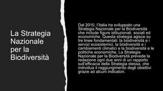 La Strategia
Nazionale
per la
Biodiversità
Dal 2010, l’Italia ha sviluppato una
Strategia Nazionale per la Biodiversità
che include figure istituzionali, sociali ed
economiche. Questa strategia agisce su
tre linee fondamentali: la biodiversità e i
servizi ecosistemici, la biodiversità e i
cambiamenti climatici e la biodiversità e le
politiche economiche. La Strategia
Nazionale per la Biodiversità prevede la
redazione ogni due anni di un rapporto
sull’efficacia della Strategia stessa, che
individua il raggiungimento degli obiettivi
grazie ad alcuni indicatori.
 