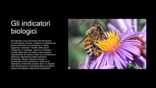 Gli indicatori
biologici
Gli indicatori sono strumenti che forniscono
un’indicazione univoca, sintetica e condivisa per
poter monitorare una situazione in modo
oggettivo e valutare i risultati delle azioni
intraprese. In ecologia, servono a valutare i
risultati delle azioni di tutela e sono spesso
rappresentati da specie viventi la cui presenza o
assenza è dipendente dalle condizioni
ambientali. Questi indicatori biologici o
bioindicatori sono studiati per capire se le
alterazioni ambientali possono aver un impatto
sulla distribuzione e sull’abbondanza di tutte le
specie che abitano determinati ecosistemi.
 
