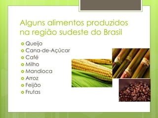 Alguns alimentos produzidos 
na região sudeste do Brasil 
 Queijo 
 Cana-de-Açúcar 
 Café 
 Milho 
 Mandioca 
 Arroz 
 Feijão 
 Frutas 
 