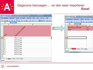 Gegevens toevoegen … en dan weer importeren Excel opslaan als .csv openen in excel Data verplaatsen naar Beelddocu 