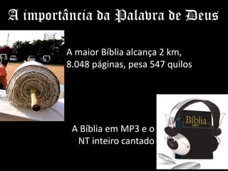 A importância da Palavra de Deus
A maior Bíblia alcança 2 km,
8.048 páginas, pesa 547 quilos
A Bíblia em MP3 e o
NT inteiro cantado
 
