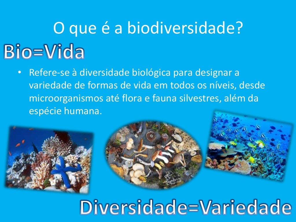 Importância Da Biodiversidade Para A Saúde Corporal