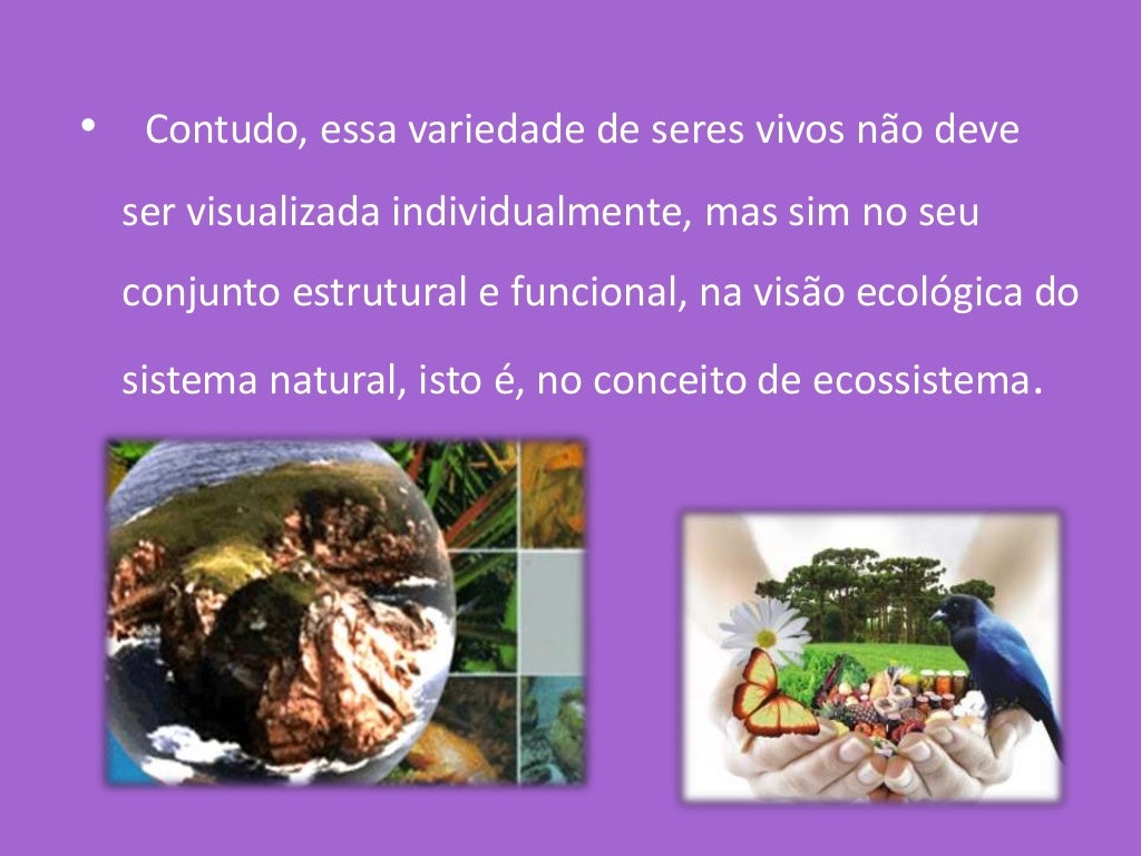 Qual a relação jurídica entre as obrigações acessórias? Qual a relação jurídica entre as obrigações acessórias?