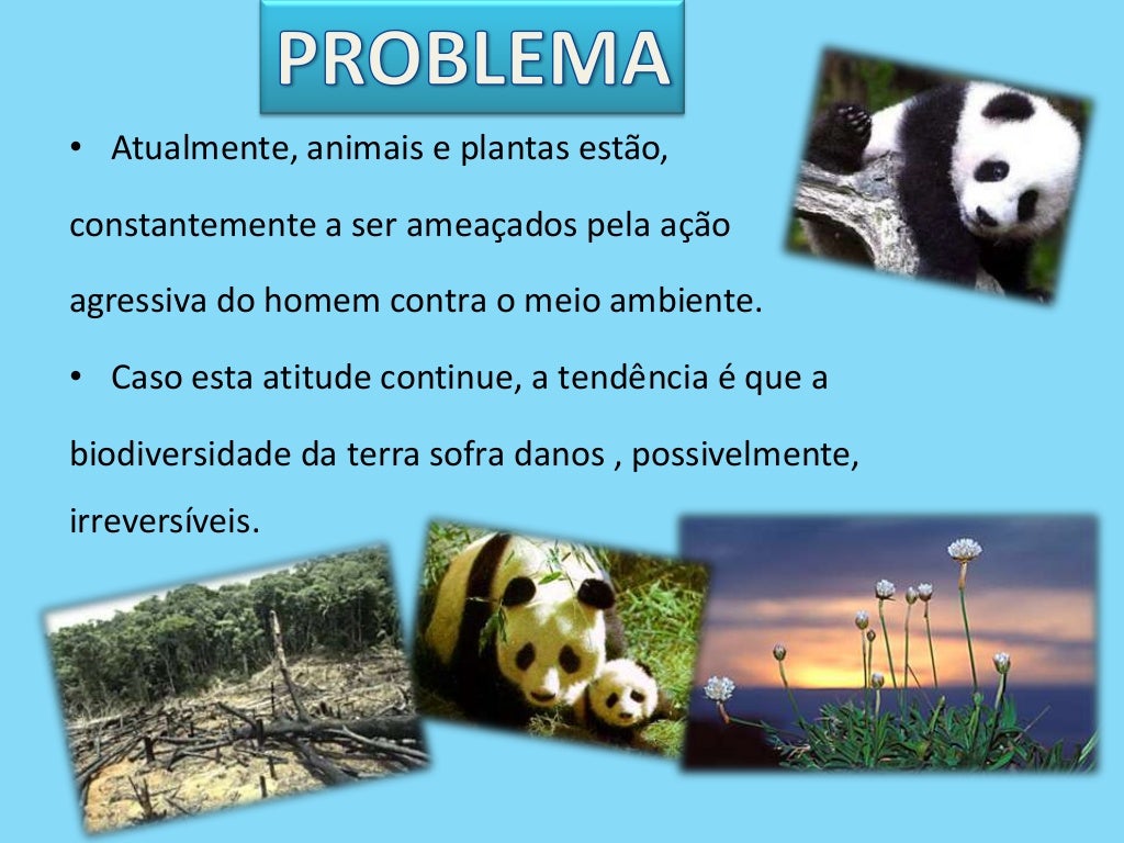 Importância Da Biodiversidade Para A Saúde Corporal