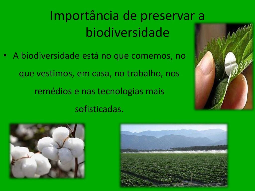 Importância Da Biodiversidade Para A Saúde Corporal