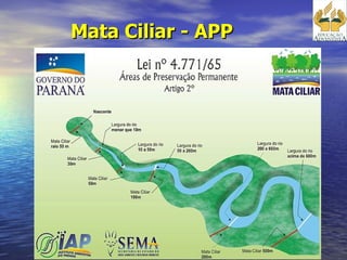 Mata Ciliar - APP 