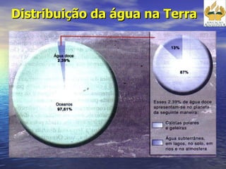 Distribuição da água na Terra  
