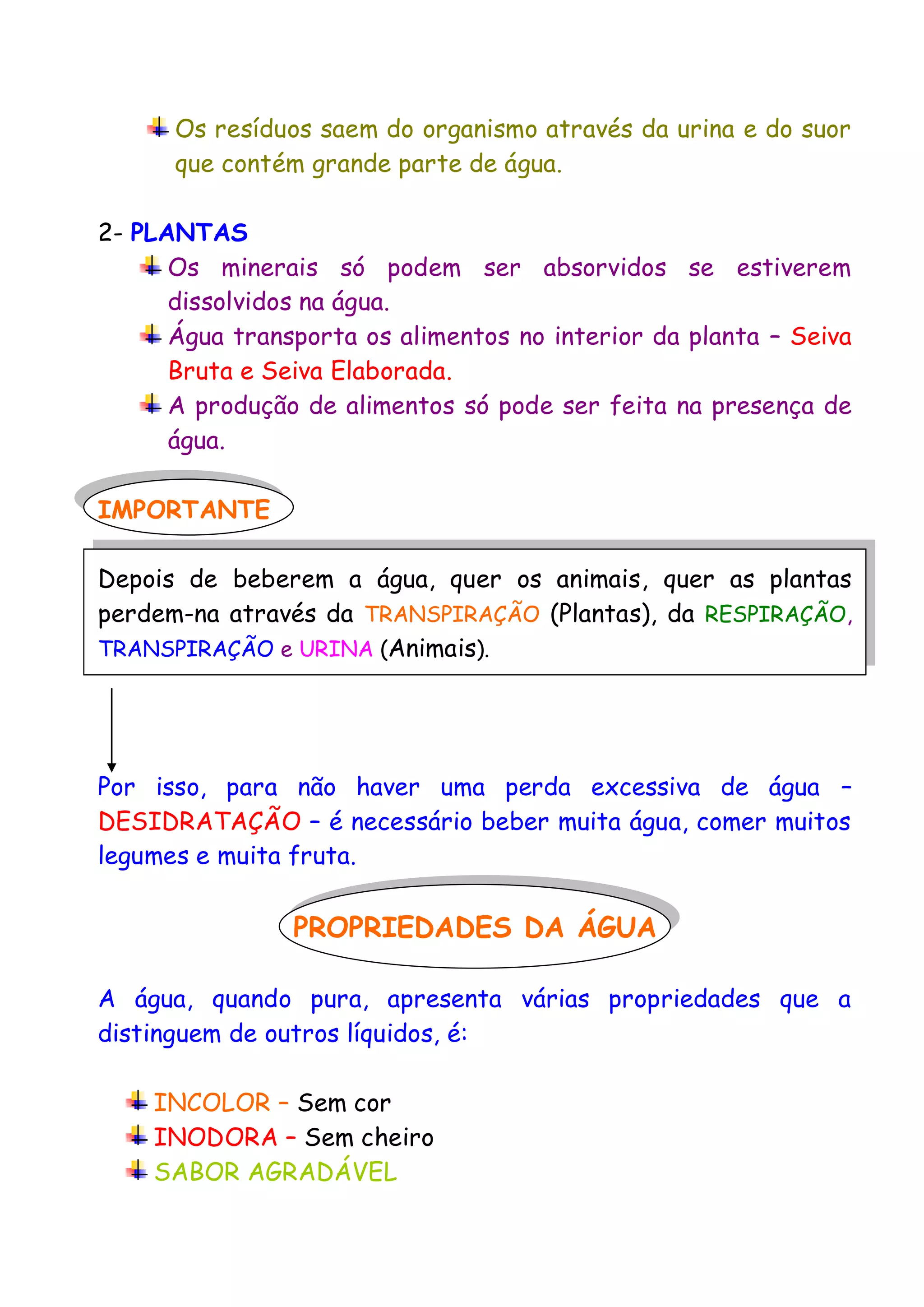 Importância da água para os seres vivos | PDF