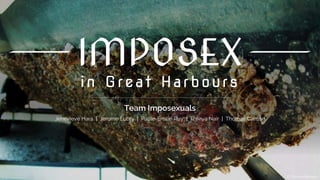 IMPOSEX
in Great Harbours
Team Imposexuals
Jenevieve Hara | Jerome Lubry | Paule-Emilie Ruy | Thiviya Nair | Thomas Cansse
© Thomas Monson
 