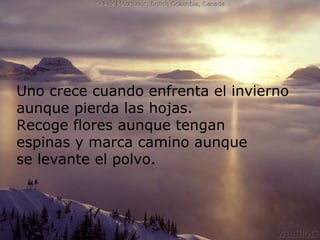 Uno crece cuando enfrenta el invierno aunque pierda las hojas. Recoge flores aunque tengan  espinas y marca camino aunque  se levante el polvo. 