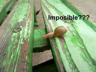 Imposible??? 