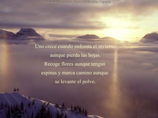 Uno crece cuando enfrenta el invierno aunque pierda las hojas. Recoge flores aunque tengan  espinas y marca camino aunque  se levante el polvo. 