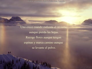 Uno crece cuando enfrenta el invierno
      aunque pierda las hojas.
    Recoge flores aunque tengan
  espinas y marca camino aunque
         se levante el polvo.
 