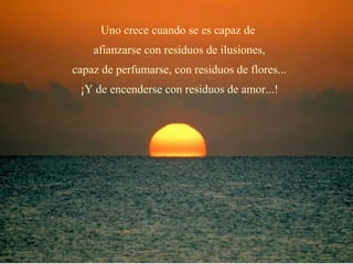 Uno crece cuando se es capaz de
    afianzarse con residuos de ilusiones,
capaz de perfumarse, con residuos de flores...
 ¡Y de encenderse con residuos de amor...!
 