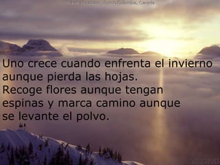 Uno crece cuando enfrenta el invierno aunque pierda las hojas. Recoge flores aunque tengan  espinas y marca camino aunque  se levante el polvo. 