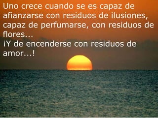 Uno crece cuando se es capaz de  afianzarse con residuos de ilusiones, capaz de perfumarse, con residuos de flores... ¡Y de encenderse con residuos de amor...! 