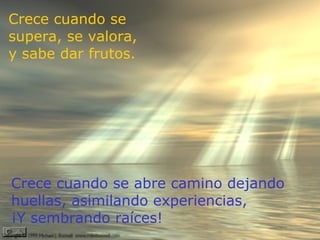 Perdí momentos únicos de la vida porque lloraba en vez de sonreír...Pero descubrí que es sembrando amor, como se cosecha amor.  Crece cuando se supera, se valora,  y sabe dar frutos. Crece cuando se abre camino dejando huellas, asimilando experiencias,  ¡Y sembrando raíces! 