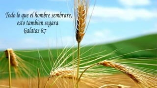 "imposicion de manos"