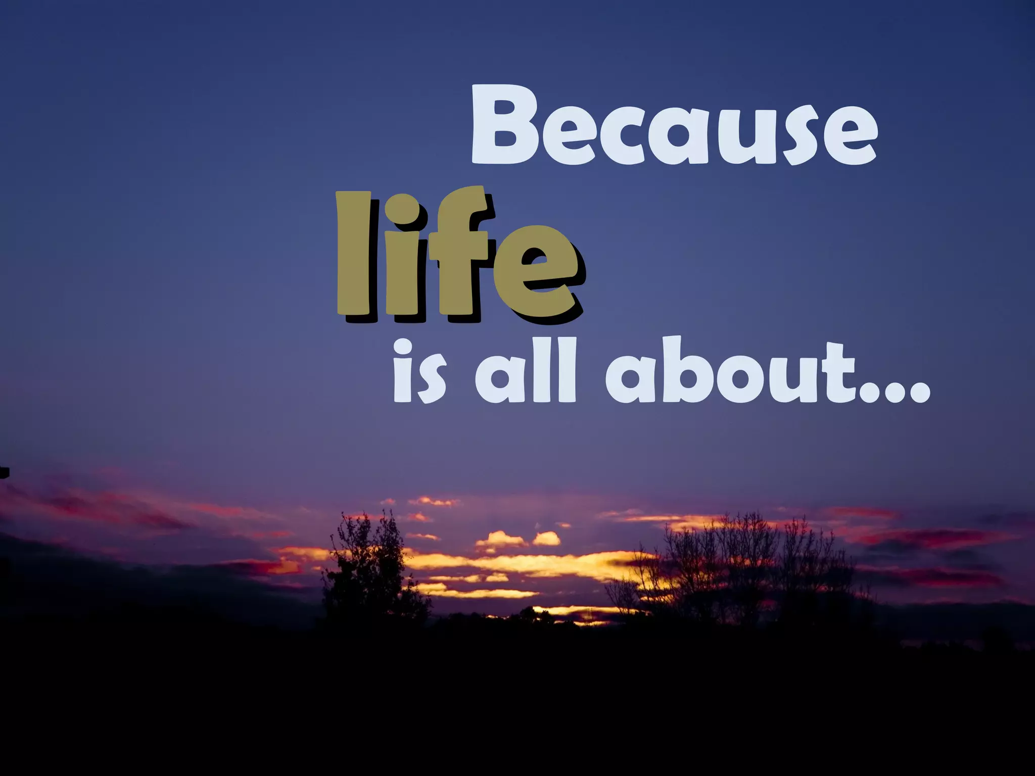 Because life is all about… 