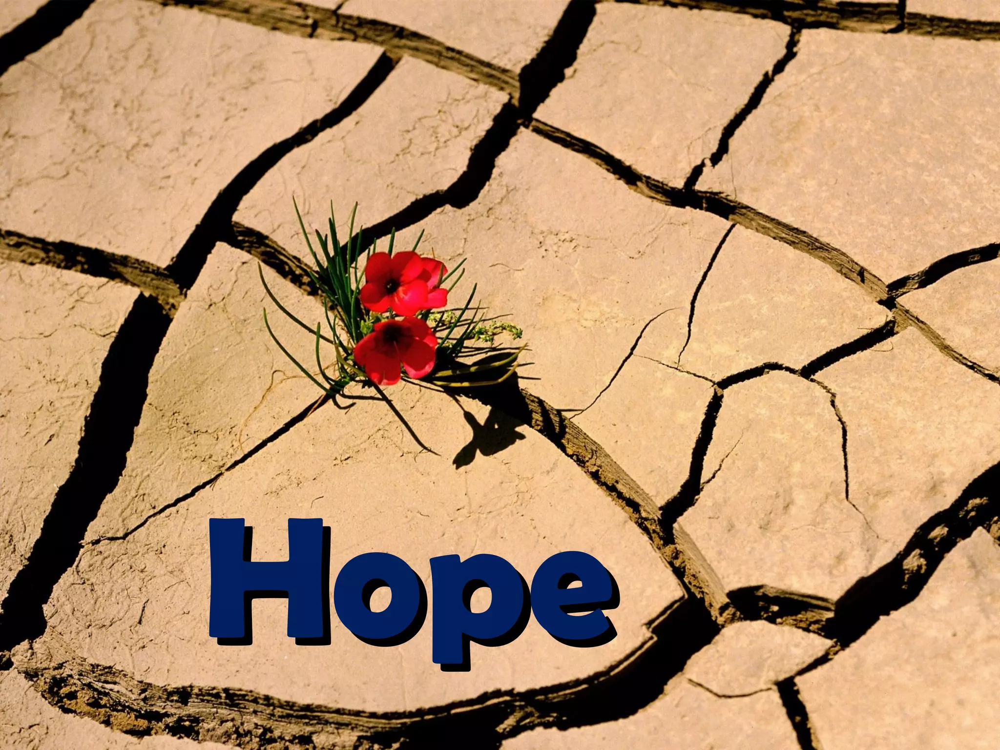 Hope 