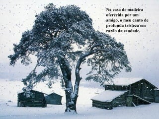 Na casa de madeira oferecida por um amigo, o meu canto de profunda tristeza em razão da saudade. . 