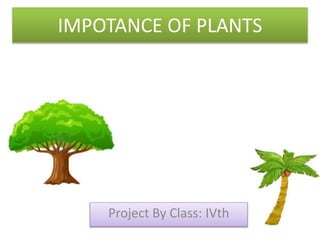 IMPOTANCE OF PLANTS
Project By Class: IVth
 