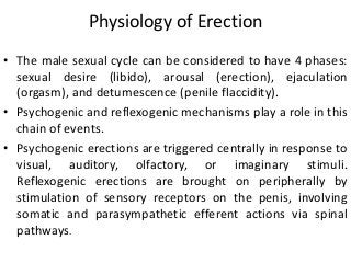 Physiology of Erection
• The male sexual cycle can be considered to have 4 phases:
sexual desire (libido), arousal (erection), ejaculation
(orgasm), and detumescence (penile flaccidity).
• Psychogenic and reflexogenic mechanisms play a role in this
chain of events.
• Psychogenic erections are triggered centrally in response to
visual, auditory, olfactory, or imaginary stimuli.
Reflexogenic erections are brought on peripherally by
stimulation of sensory receptors on the penis, involving
somatic and parasympathetic efferent actions via spinal
pathways.
 
