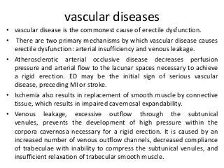 vascular diseases
• vascular disease is the commonest cause of erectile dysfunction.
• There are two primary mechanisms by which vascular disease causes
erectile dysfunction: arterial insufficiency and venous leakage.
• Atherosclerotic arterial occlusive disease decreases perfusion
pressure and arterial flow to the lacunar spaces necessary to achieve
a rigid erection. ED may be the initial sign of serious vascular
disease, preceding MI or stroke.
• Ischemia also results in replacement of smooth muscle by connective
tissue, which results in impaired cavernosal expandability.
• Venous leakage, excessive outflow through the subtunical
venules, prevents the development of high pressure within the
corpora cavernosa necessary for a rigid erection. It is caused by an
increased number of venous outflow channels, decreased compliance
of trabeculae with inability to compress the subtunical venules, and
insufficient relaxation of trabecular smooth muscle.
 