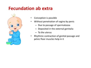 Fecundation ab extra
• Conception is possible
• Without penetration of vagina by penis
– Due to passage of spermatozoa
– Deposited in the external genitalia
– To the uterus
• Rhythmic contraction of genital passage and
pelvic floor muscles help in it
 