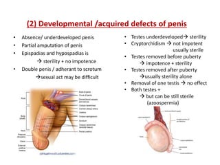 (2) Developmental /acquired defects of penis
• Absence/ underdeveloped penis
• Partial amputation of penis
• Epispadias and hypospadias is
 sterility + no impotence
• Double penis / adherant to scrotum
sexual act may be difficult
• Testes underdeveloped sterility
• Cryptorchidism  not impotent
usually sterile
• Testes removed before puberty
 impotence + sterility
• Testes removed after puberty
usually sterility alone
• Removal of one testis  no effect
• Both testes +
 but can be still sterile
(azoospermia)
 