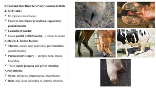 Impotentia coeundi in farm animals and its managment | PPTX