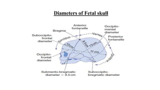 Diameters of Fetal skull
 