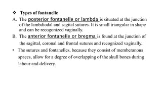  Types of fontanelle
A. The posterior fontanelle or lambda is situated at the junction
of the lambdiodal and sagital sutures. It is small triangular in shape
and can be recogonized vaginally.
B. The anterior fontanelle or bregma is found at the junction of
the sagittal, coronal and frontal sutures and recognized vaginally.
• The sutures and fontanelles, because they consist of memberanous
spaces, allow for a degree of overlapping of the skull bones during
labour and delivery.
 