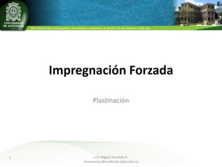 Impregnación Forzada
Plastinación

1

Luis Miguel Acevedo A.
lmacevedoa@medicina.udea.edu.co

 