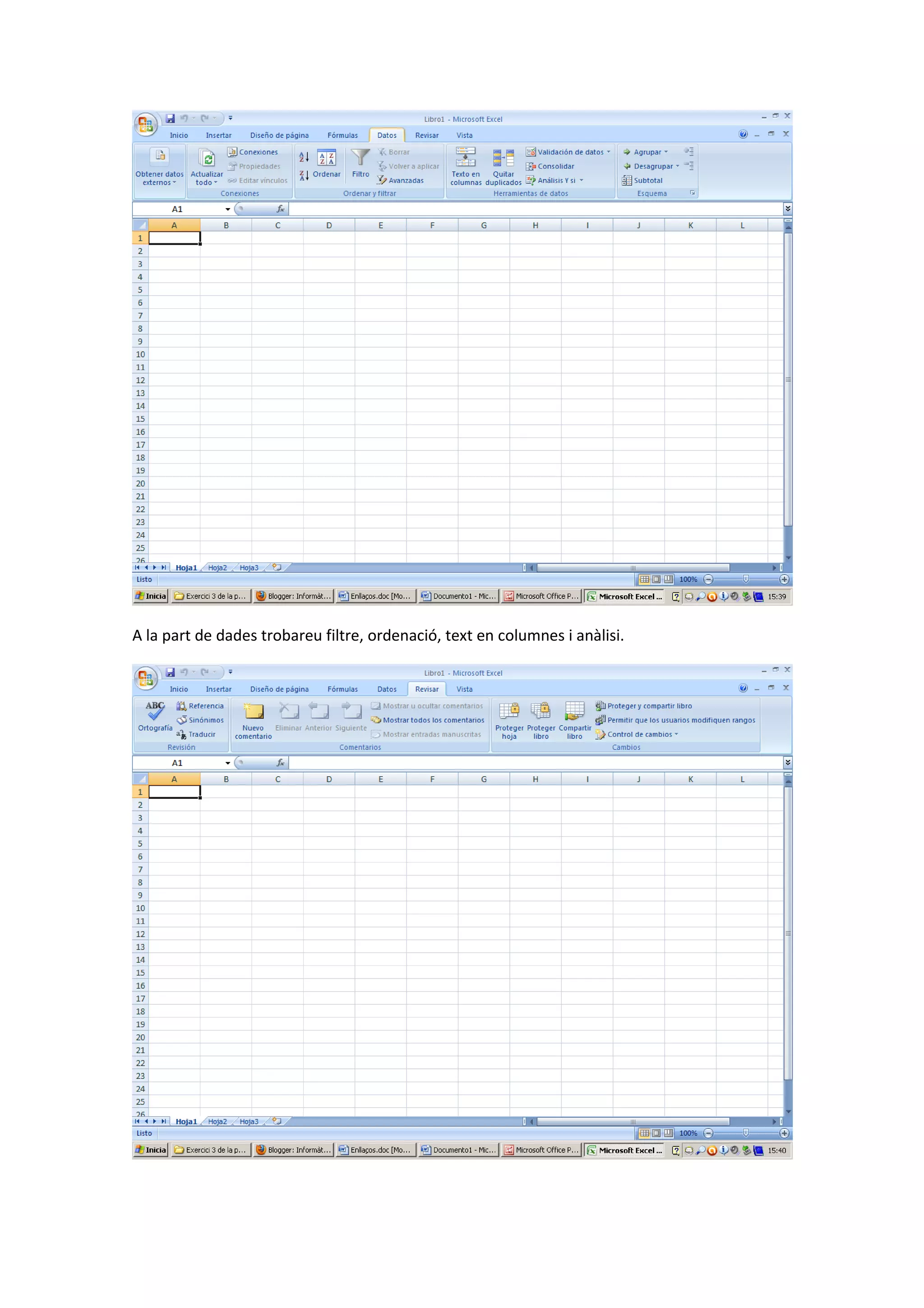 A la part de dades trobareu filtre, ordenació, text en columnes i anàlisi.
 