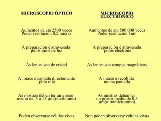 MICROSCOPIO ÓPTICO                      MICROSCOPIO
                                         ELECTRÓNICO


  Aumentos de ata 2500 veces      Aumentos de ata 500 000 veces
  Poder resolución 0,2 micras        Poder resolución 1nm


  A preparación é atravesada         A preparación é atravesada
       polos raios de luz                  polos electróns


    As lentes son de cristal      As lentes son campos magnéticos


A imaxe é captada directamente          A imaxe é recollida
           polo ollo                       nunha pantalla


As mostras deben ter un grosor          As mostras deben ter
medio de 5 a 15 µm(microtomo)          un grosor medio de 0,5
                                        µm(ultramicrotomo)


Poden observarse células vivas   Non poden observarse células vivas
 