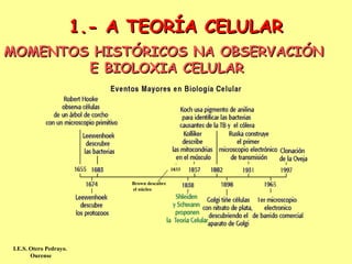 1.- A TEORÍA CELULAR
MOMENTOS HISTÓRICOS NA OBSERVACIÓN
        E BIOLOXIA CELULAR




                                               1833

                              Brown descubre
                              el núcleo




 I.E.S. Otero Pedrayo.
        Ourense
 